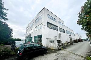 COMPLESSO A VOLPIANO