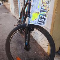 Bicicletta RR taglia XL
