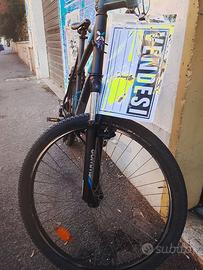 Bicicletta RR taglia XL