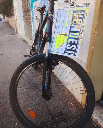 Bicicletta RR taglia XL