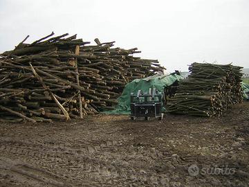 legna in stanga 12'000 quintali