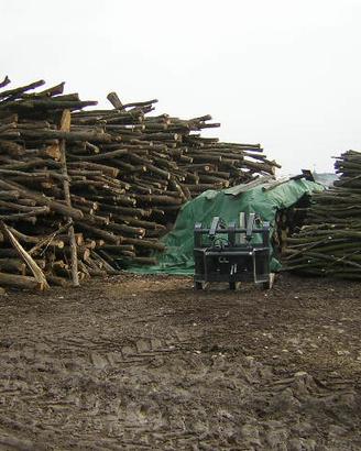 legna in stanga 12'000 quintali