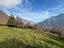 Immagine 8