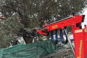 Scuotitore Berardinucci Tornado P70