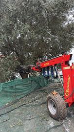 Scuotitore Berardinucci Tornado P70