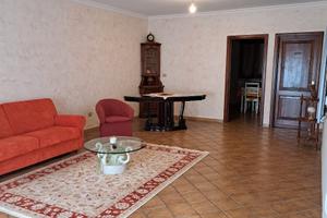 Grazioso Appartamento con Cantina e Mansarda