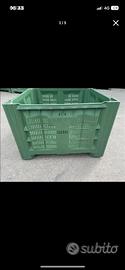 Cassoni in plastica