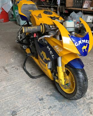 Minimoto replica blata