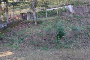 Terreno Pantano di Pignola