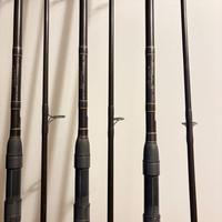 Canne carpfishing Dream Maker primissima serie