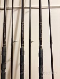 Canne carpfishing Dream Maker primissima serie