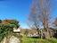 Immagine 7