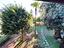 Immagine 12