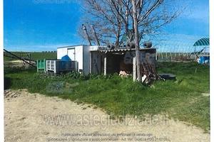 Appartamento Tuscania [A4340399]