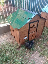 pollaio in hpl