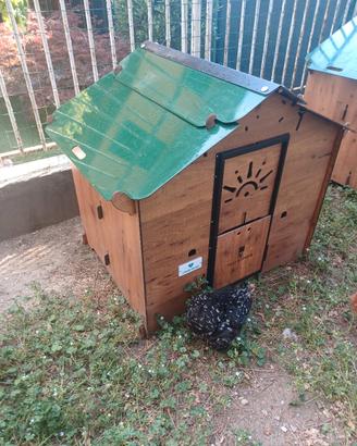 pollaio in hpl