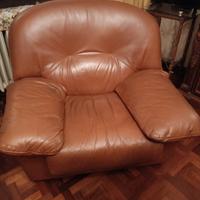 poltrone e divano in pelle 