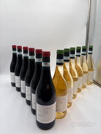 12 bottiglie Vino montepulciano  e trebbiano