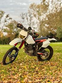 XR 250 Dall'Ara