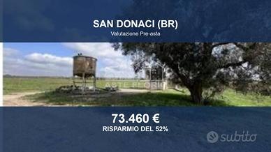 Immobile in asta di 108941 m² a San Donaci