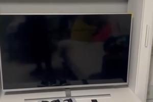 Luminosa stanza singola - Roma Trastevere (600)