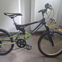 bicicletta 20 pollici 