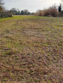 Terreno agricolo a Portoviro provincia Ro