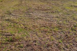 Terreno agricolo a Portoviro provincia Ro