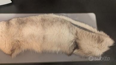 pelliccia copricollo