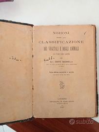 Libro antico