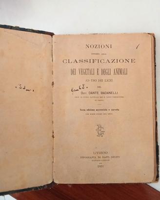 Libro antico