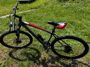 Bicicletta Rondine