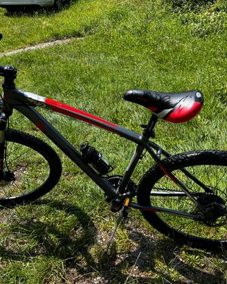 Bicicletta Rondine