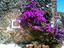 Immagine 21