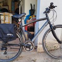 Bicicletta Adriatica Boxster