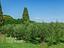 Immagine 24