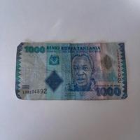 Scellino tanzaniano