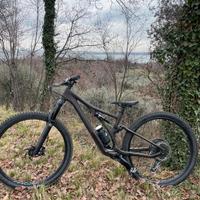 Specialized stumpjumper expert