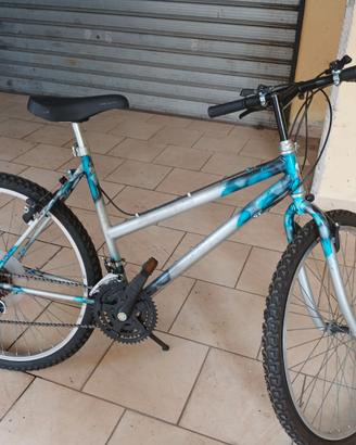 Bici da  26 pollici