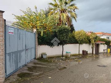 TERRENO A POLLENA TROCCHIA