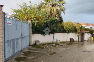 TERRENO A POLLENA TROCCHIA