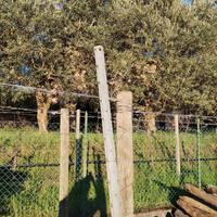 pali vigneto zincati 