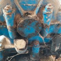 Verricello forestale