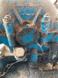 Verricello forestale