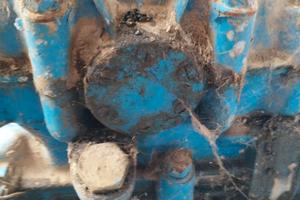 Verricello forestale