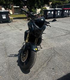 Hornet 2011