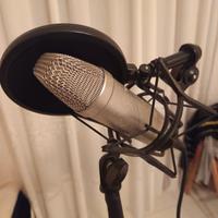 microfono con asta e filtro antipop