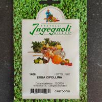 Semente Erba Cipollina