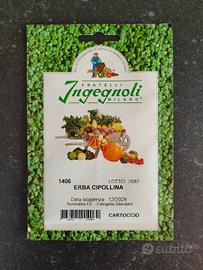 Semente Erba Cipollina