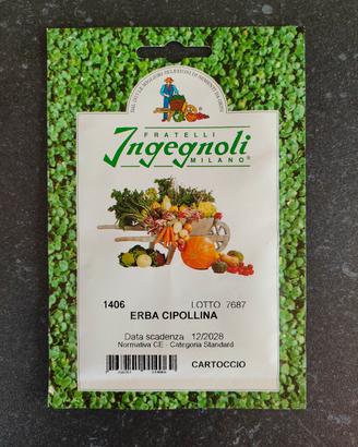 Semente Erba Cipollina